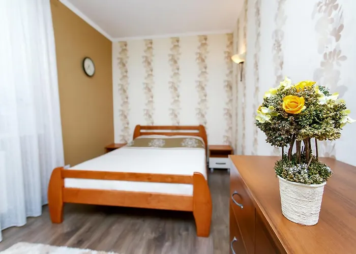 Comfortable Apartment In The Center
